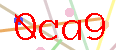 código captcha